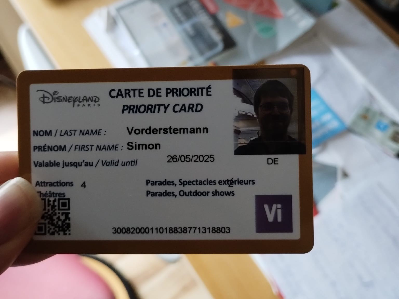 Eintrittskarte für den Disneyland Park